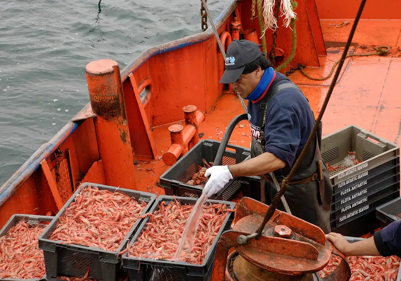 Antartic Seafood vessel fishing cold-water crustaceans off Coquimbo, Chile